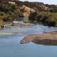 Tuolumne River salmon habitat enhanced