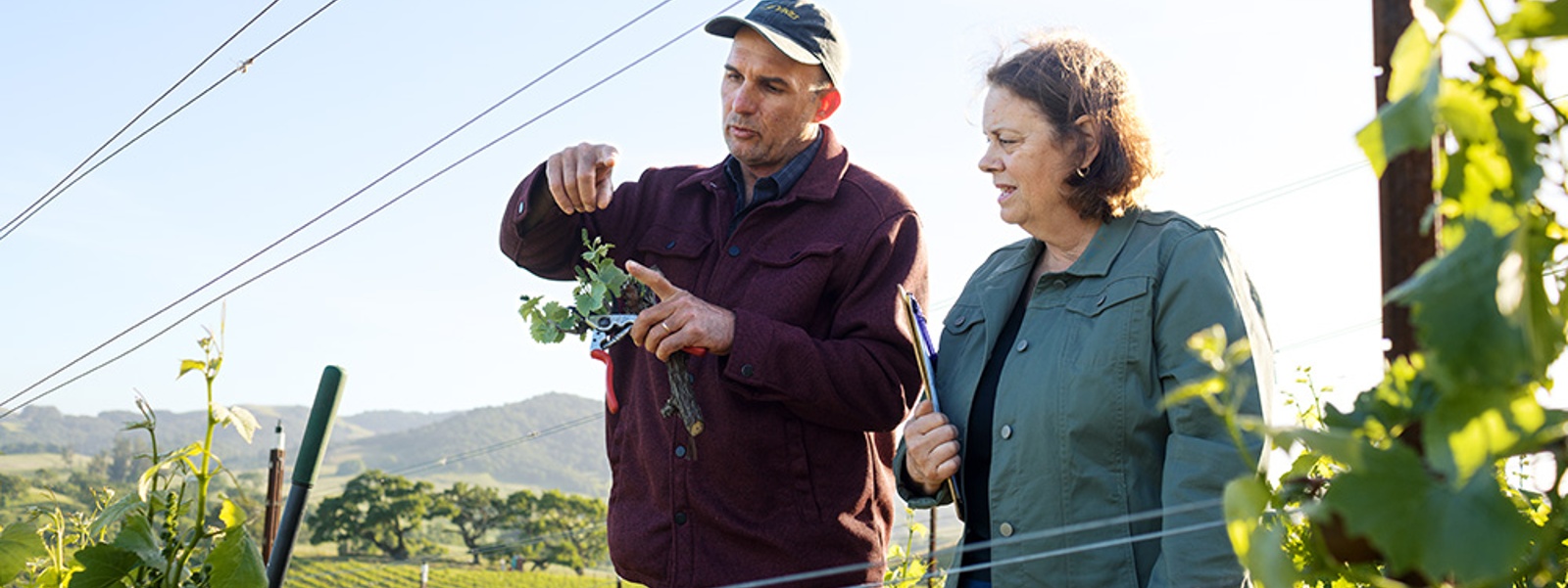 Mentorship program grows next-generation farmers