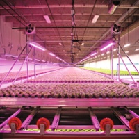 Indoor farming gets a reality check after boom cycle
