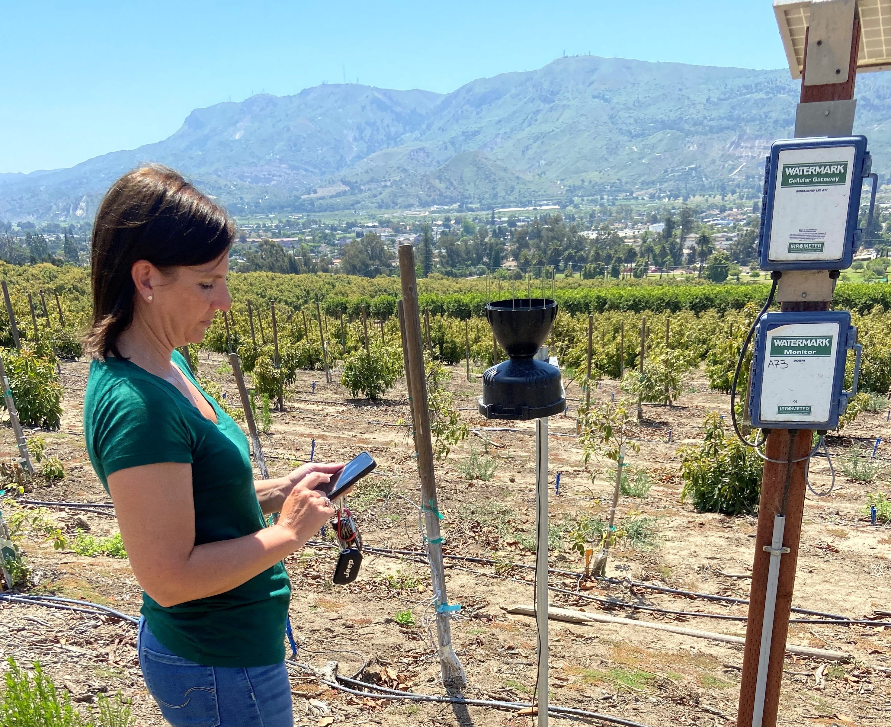 Sensors guide growers on water decisions