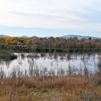 'Frustrated' and 'confused': Army Corps dam releases sent farmers scrambling