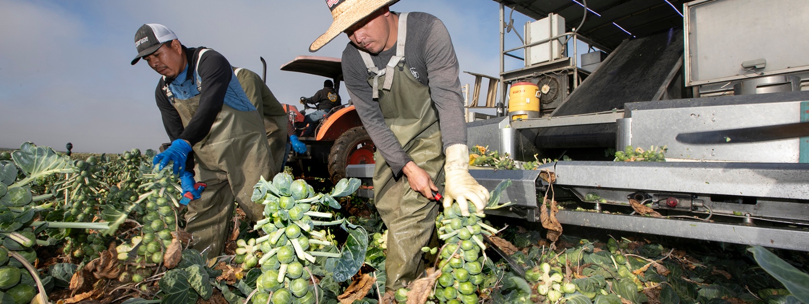 Overtime tax credit bill a plus for farmers, workers 