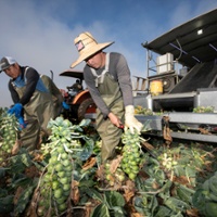 Overtime tax credit bill a plus for farmers, workers 