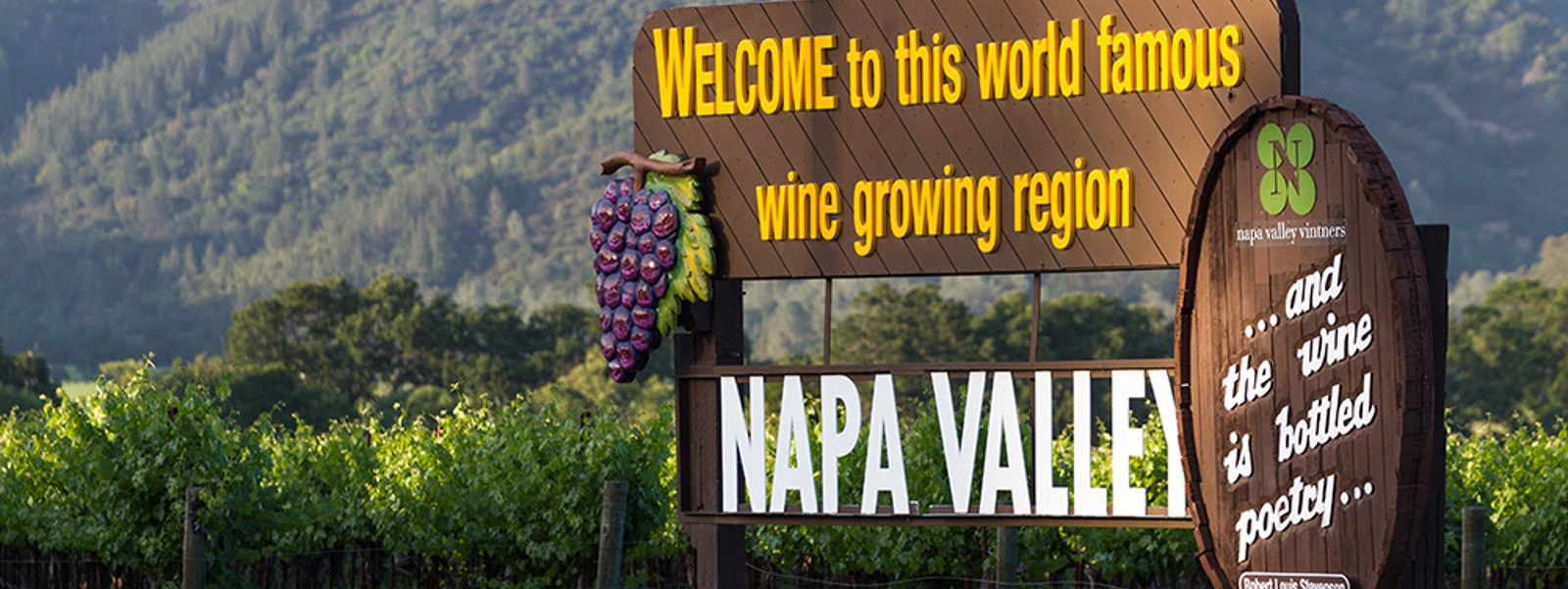 Study measures regulatory costs for Napa vineyards