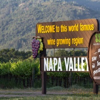 Study measures regulatory costs for Napa vineyards