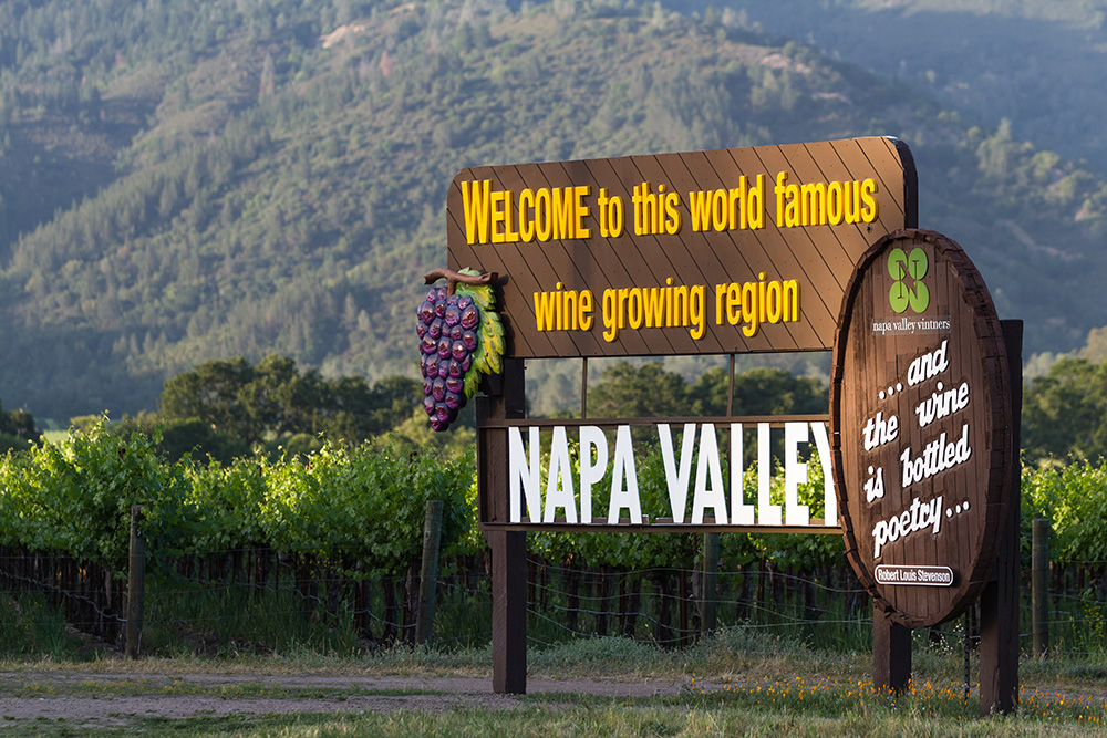 Study measures regulatory costs for Napa vineyards