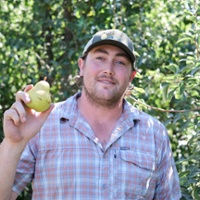 From the Fields: Ryan Elliot, Sacramento County pear grower, packer and shipper