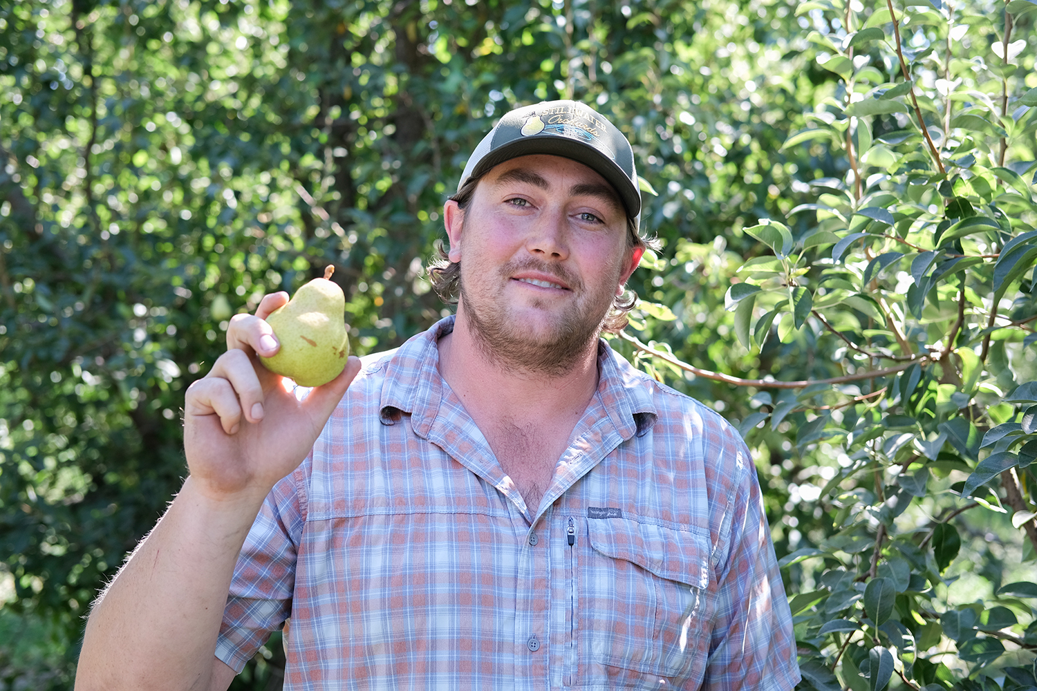 From the Fields: Ryan Elliot, Sacramento County pear grower, packer and shipper