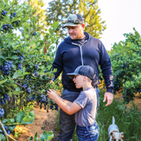 Sonoma County family blends blueberries into wine