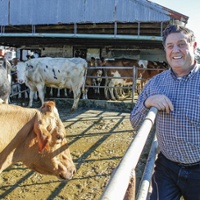 From the Fields: Domenic Carinalli, Sonoma County organic dairy farmer and conventional winegrape grower