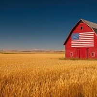 Advocacy in Action: Farm Bill, gray wolves, climate credit, vehicle weight safety and farm tech