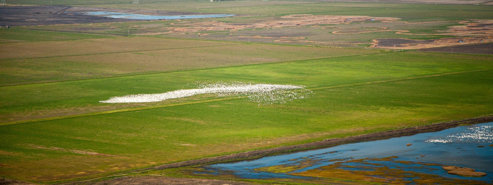 Supreme Court water ruling gives clarity to farmers