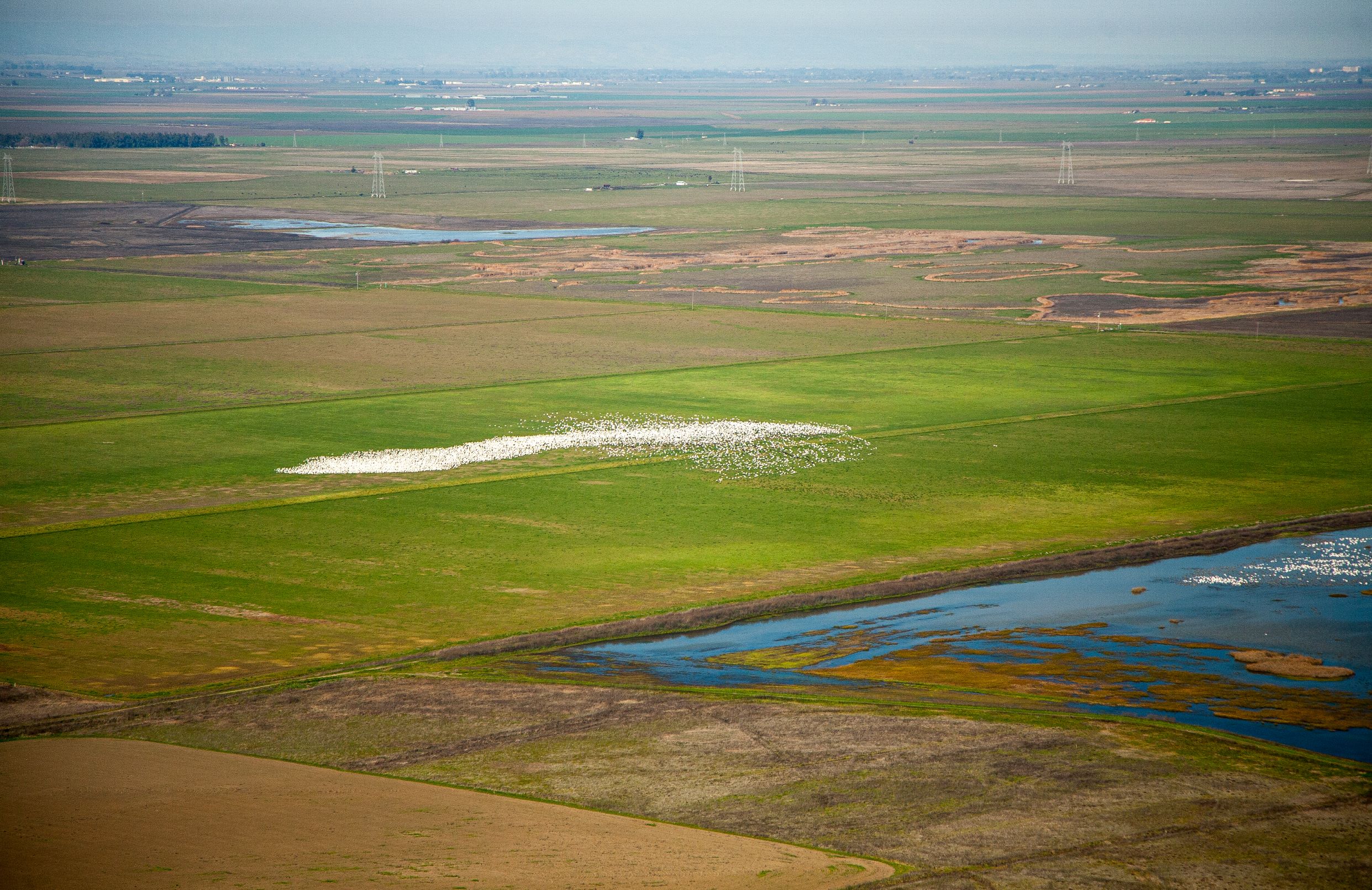 Supreme Court water ruling gives clarity to farmers