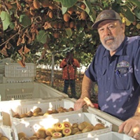 From the Fields: Doug Phillips, Tulare County tree fruit grower, packer and shipper