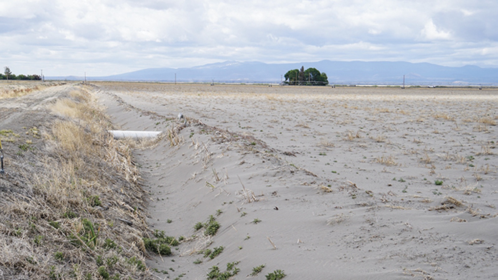 Klamath dust storms harm farmlands, erode soils