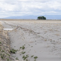Klamath dust storms harm farmlands, erode soils