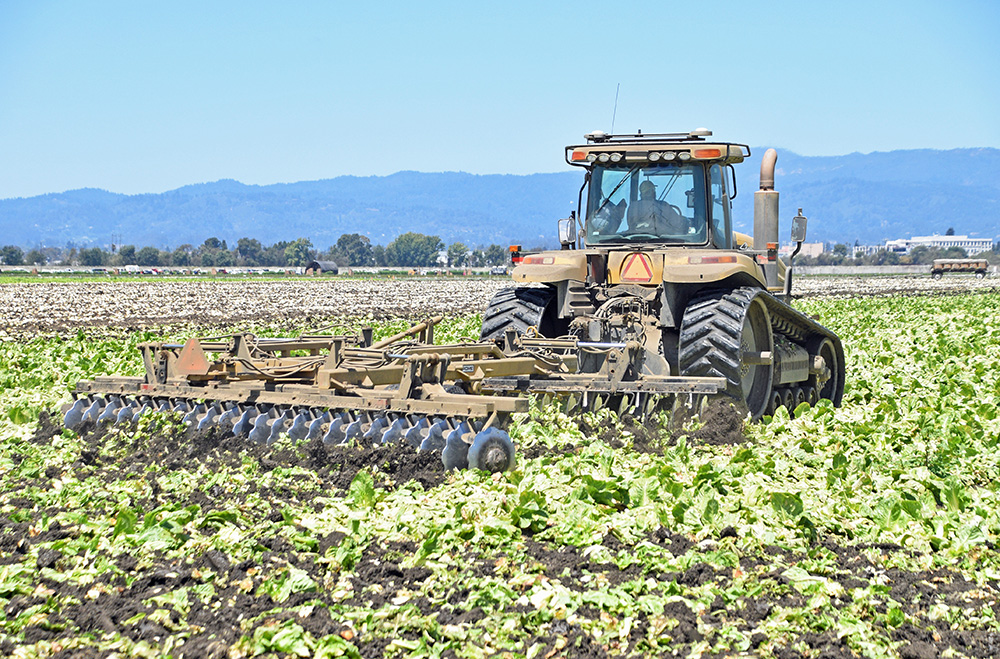 Cyclospora fallout hits California farmers