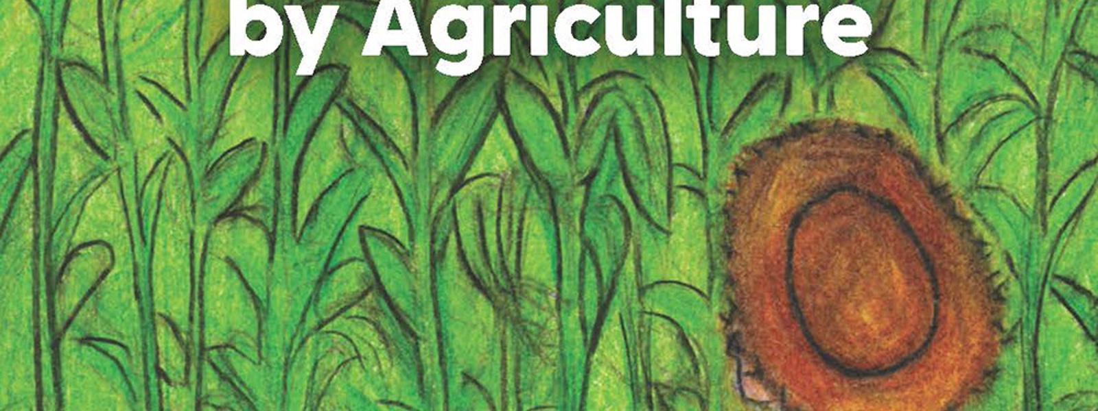 Imagine this: Students tell stories about agriculture