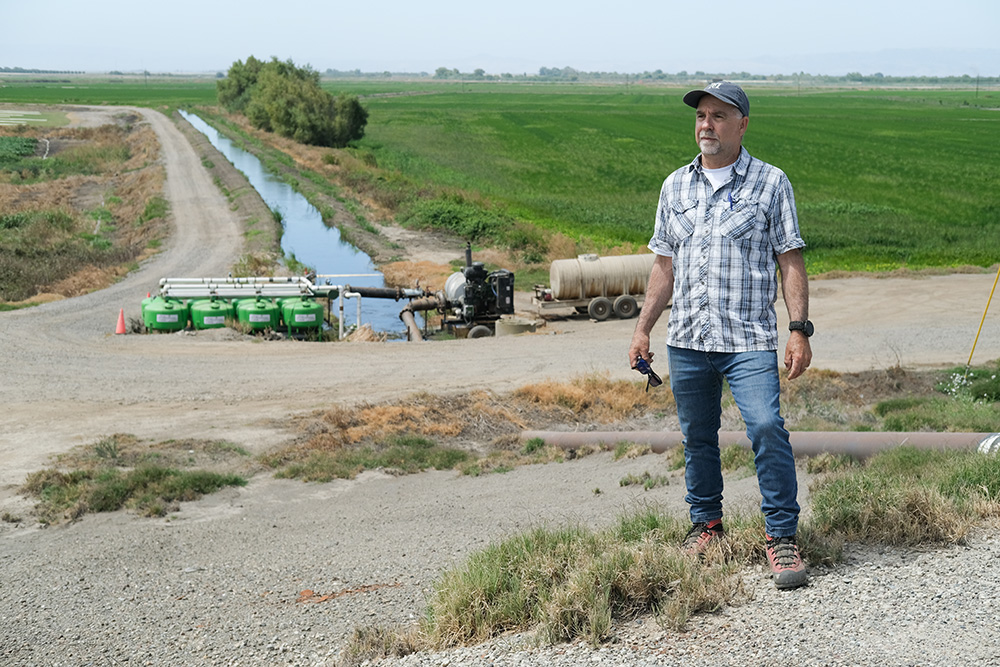 Golden mussels plague farms and water districts