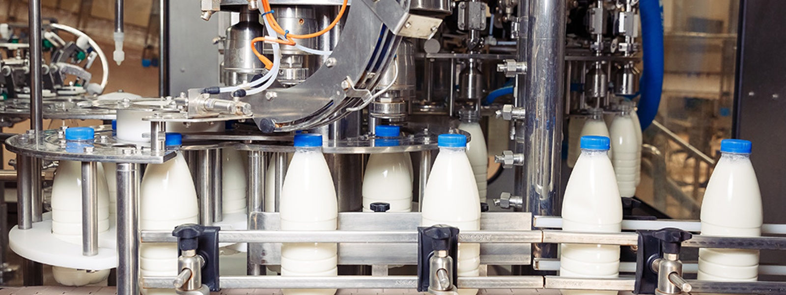 Advocacy in Action: Dairy, water, wolves and trade
