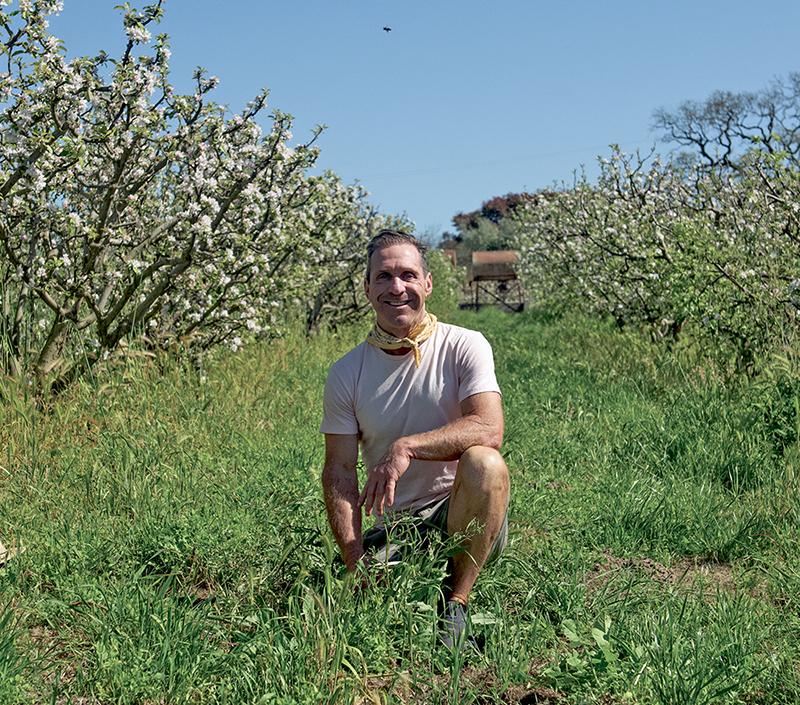 From the Fields: Brooke Hazen, Sonoma County farmer