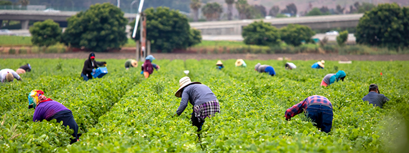 Advocacy in Action: Water, land use and employment