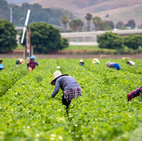 Advocacy in Action: Water, land use and employment