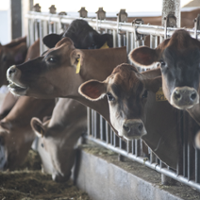 Certifiers among those affected by new organic rules