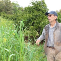 Citrus farm showcases pollinator habitat