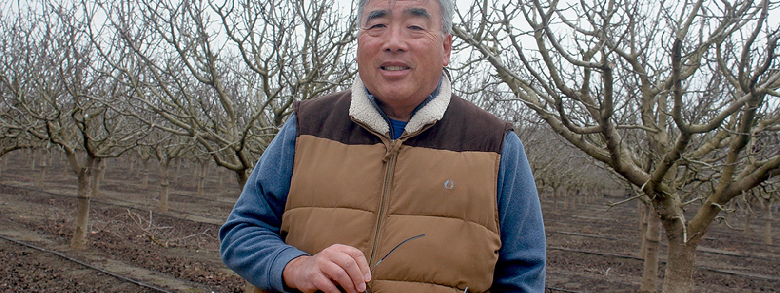 From the Fields: Ray Yeung, Yolo County farmer