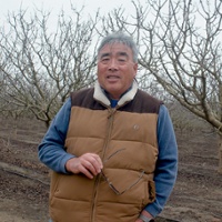 From the Fields: Ray Yeung, Yolo County farmer