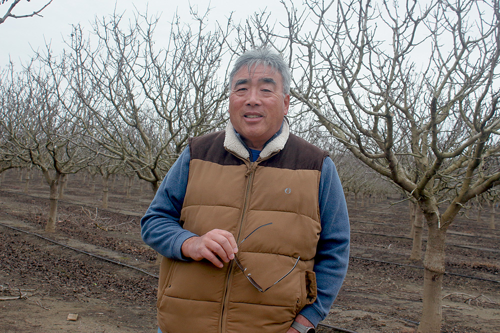 From the Fields: Ray Yeung, Yolo County farmer
