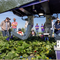 Farm technology showcased at field day