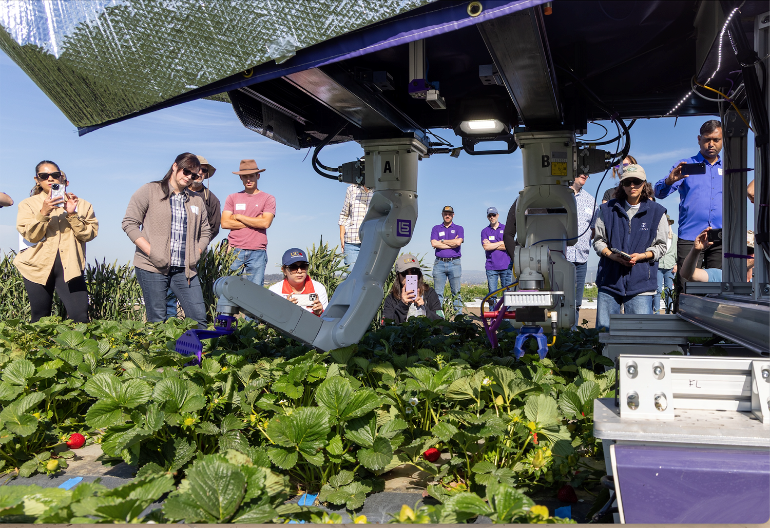 Farm technology showcased at field day