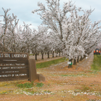Research farm seeks help as income falls