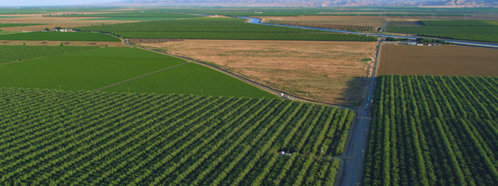 Commentary: Here's what farmers stand to lose without a farm bill