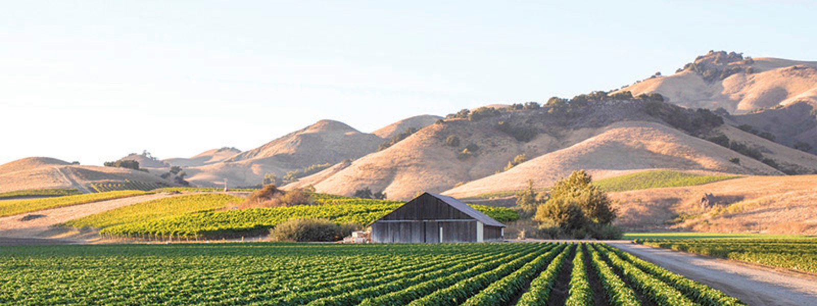 The Scenic Route: Pit stops at California farms and ranches