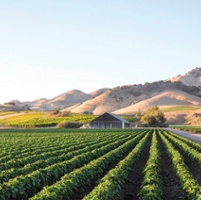 The Scenic Route: Pit stops at California farms and ranches