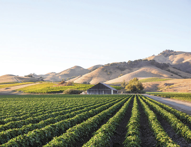 The Scenic Route: Pit stops at California farms and ranches