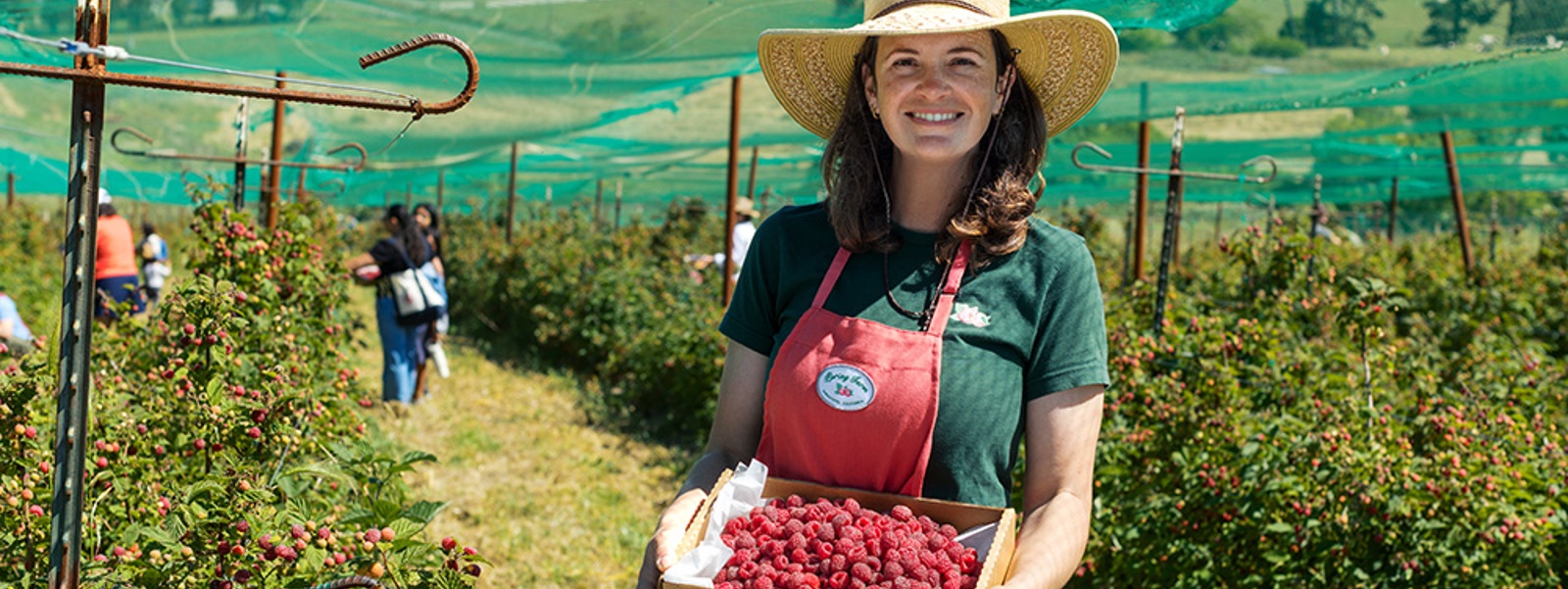 Finding her second act: Former dancer builds&nbsp;new life with U-pick raspberry farm