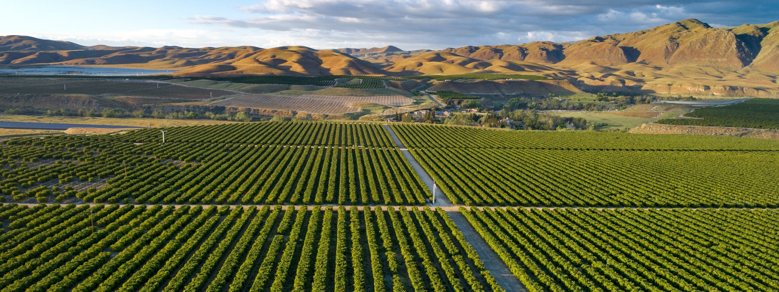 Commentary: Mentoring program to assist new farmers, ranchers