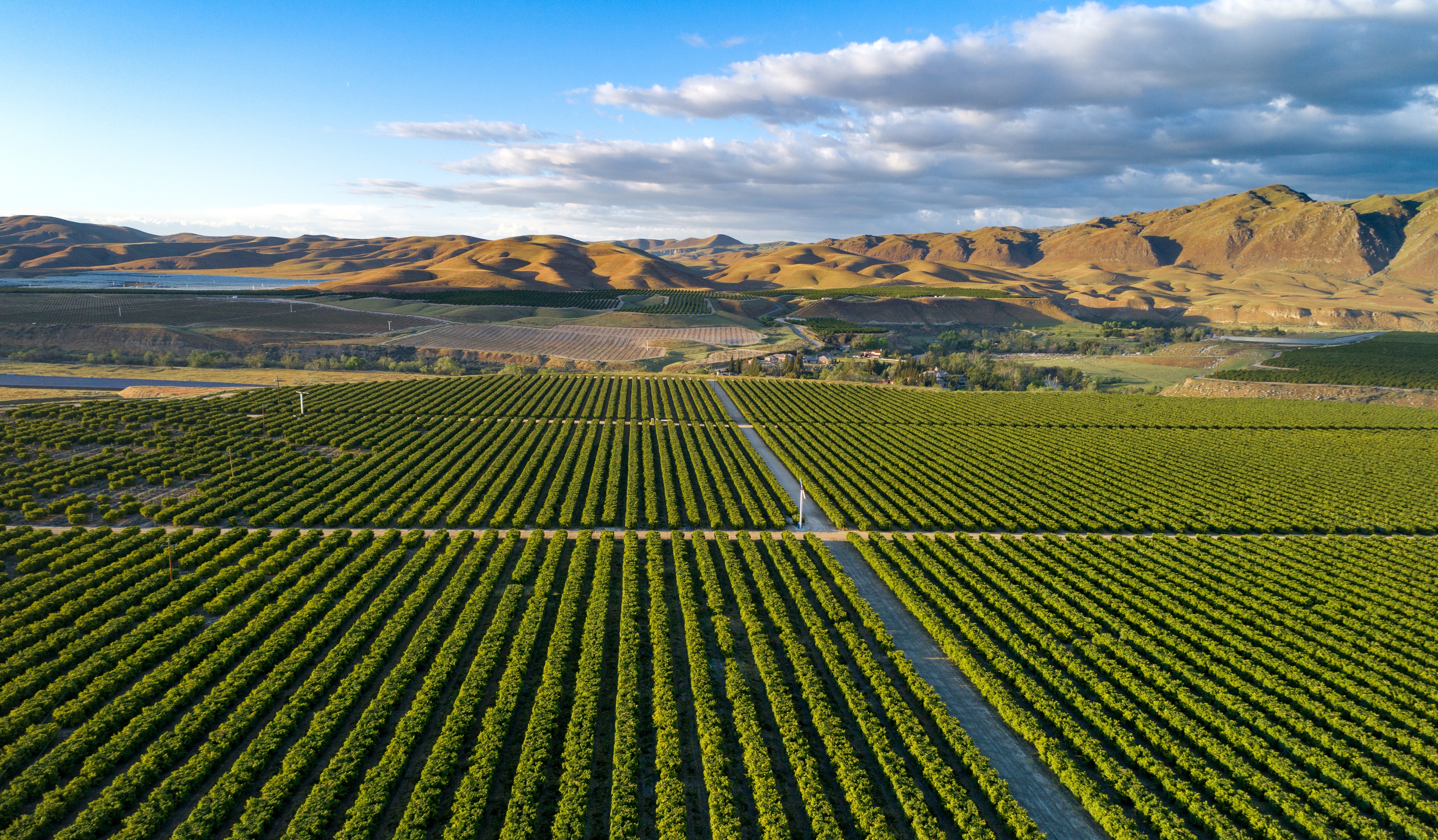 DD32C010-69C3-4B6E-9FE2E2118294EA2B_source image