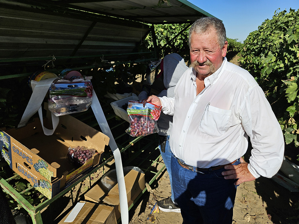 From the Fields: Mark Hall, Kern County table grape grower