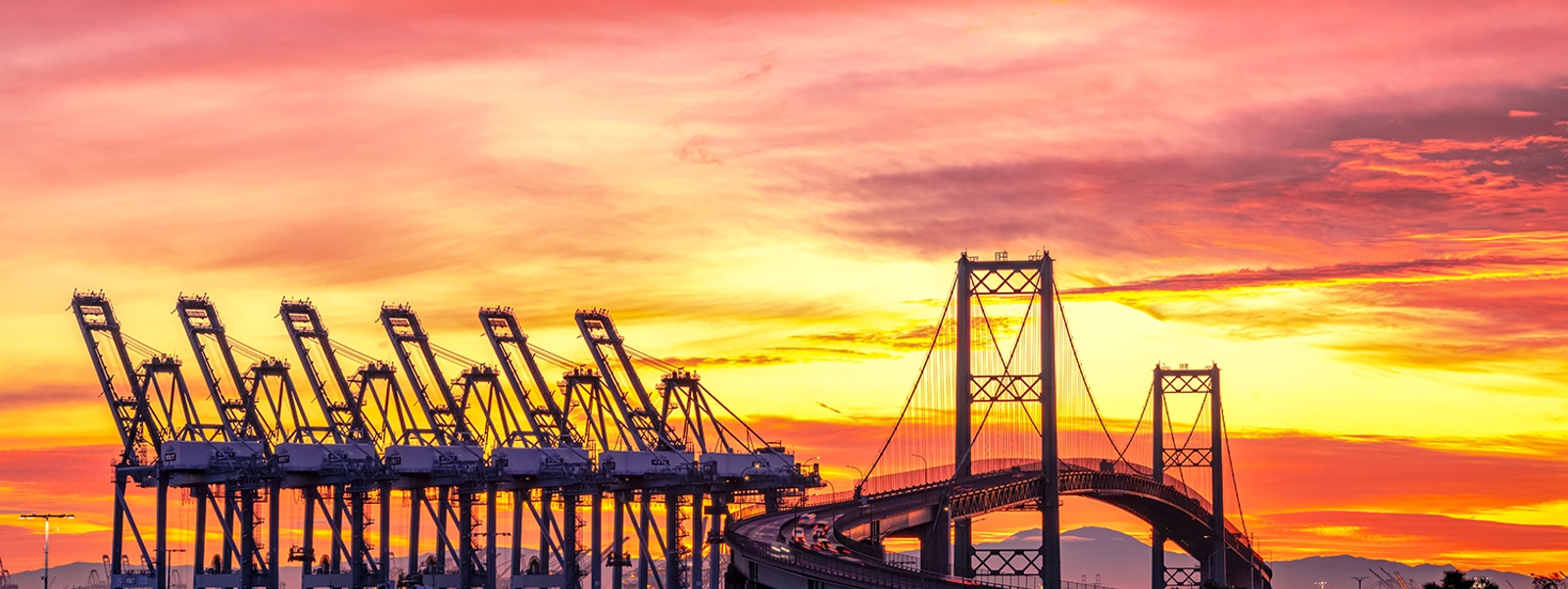 News Briefs: MAHA report, Farm Bill, trade, cap and trade, and Sheepdog Finals