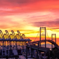 News Briefs: MAHA report, Farm Bill, trade, cap and trade, and Sheepdog Finals