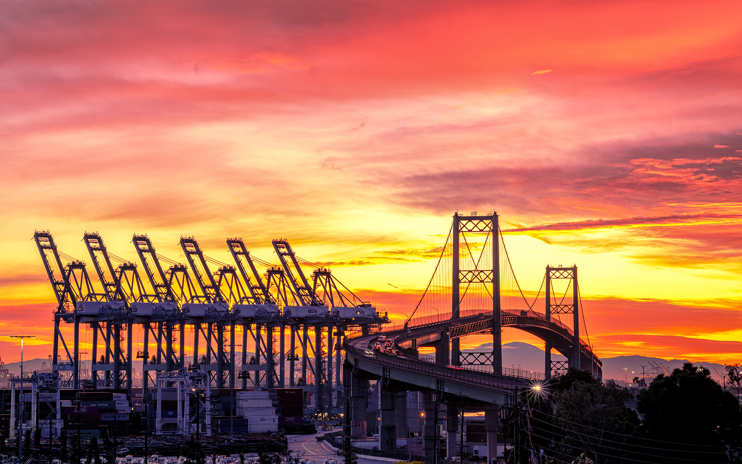 News Briefs: MAHA report, Farm Bill, trade, cap and trade, and Sheepdog Finals