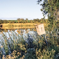 Lodi vineyards create a brand in farm sustainability