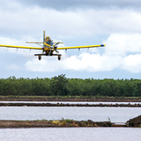 Wet year allows more rice to be planted