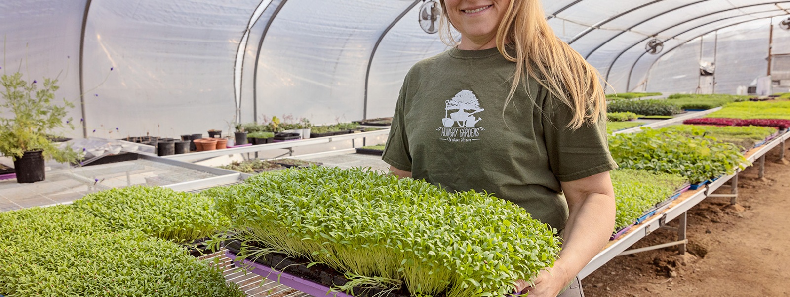 Urban farm's microgreens punch up plates, palates