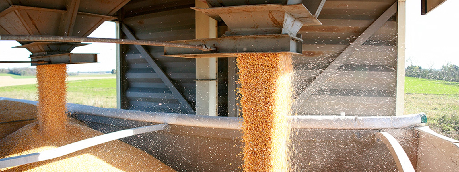 How to effectively manage stored grain fire risks